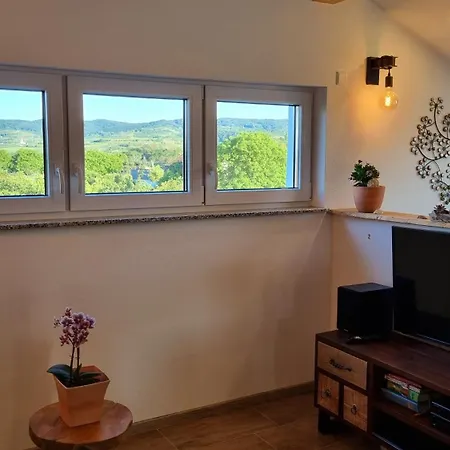 Villa Bonita Del Kaiserstuhl Sasbach am Kaiserstuhl Zewnętrze zdjęcie