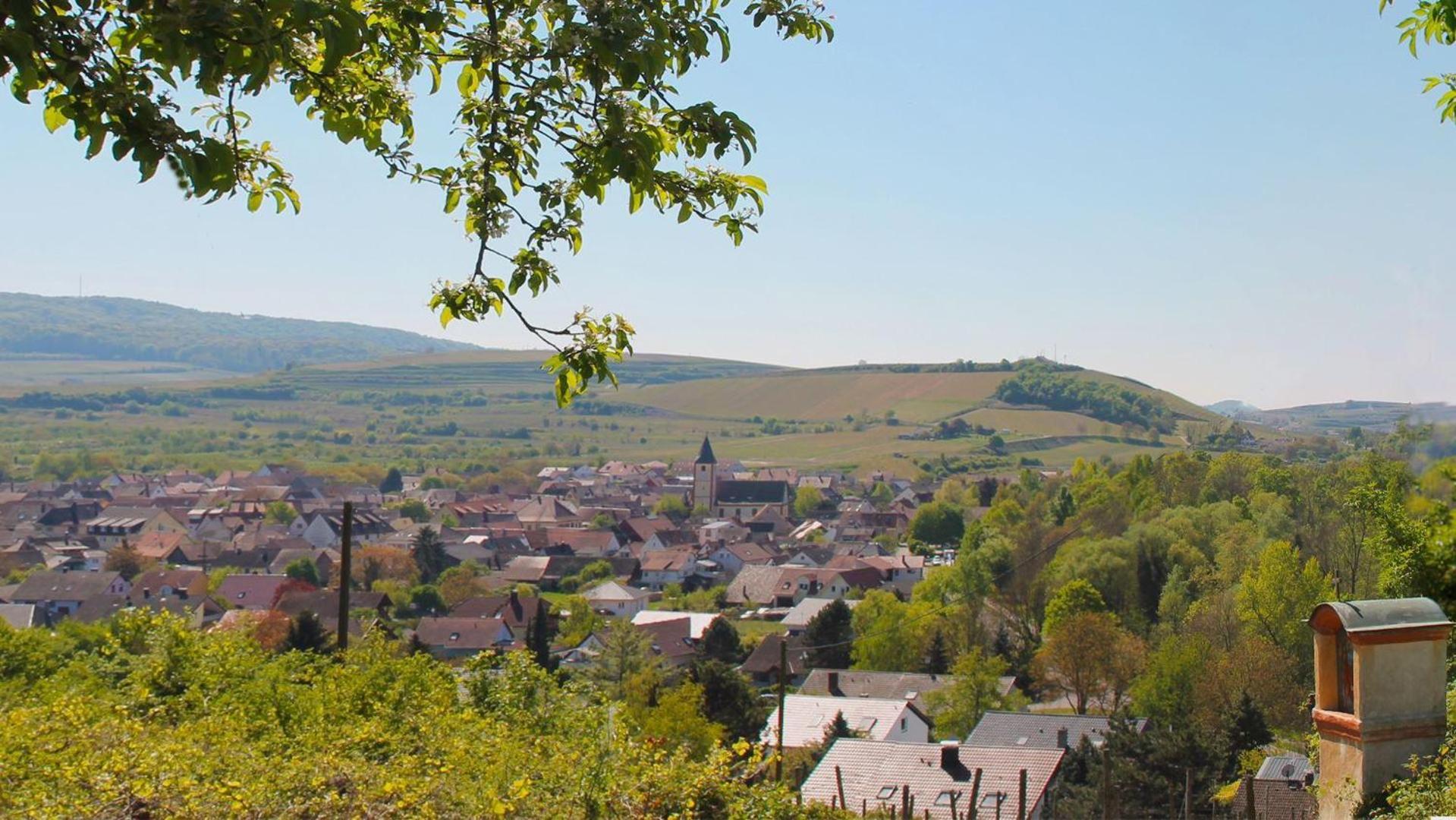 Apartment Bonita Del Kaiserstuhl
